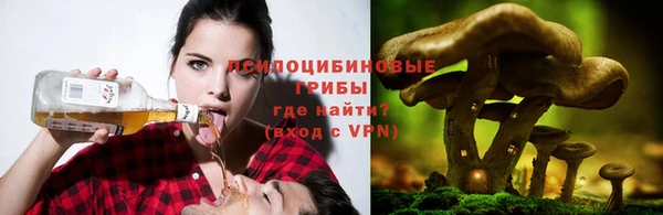 стаф Краснотурьинск