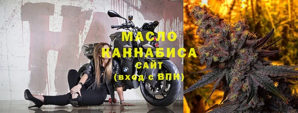 мдпв Краснослободск