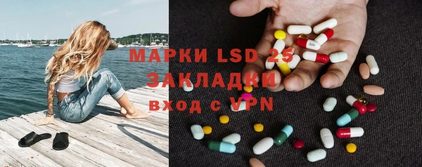 мдпв Краснослободск