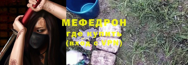 мдпв Краснослободск