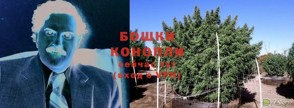 стаф Краснотурьинск