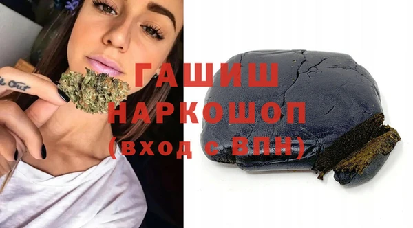 мдпв Краснослободск