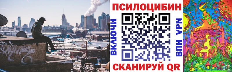 Купить закладки  Волгореченск  Псилоцибиновые грибы Cubensis 