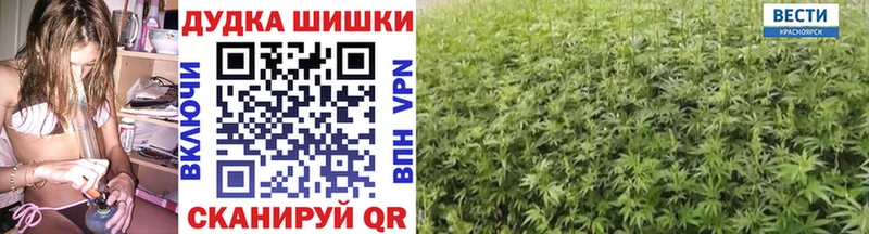 Купить закладки  Волгореченск  Канабис марихуана 
